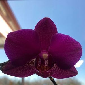 Meet your Posher, Marlee